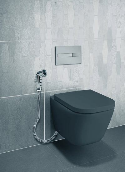 Dusuri cu functie de bideu